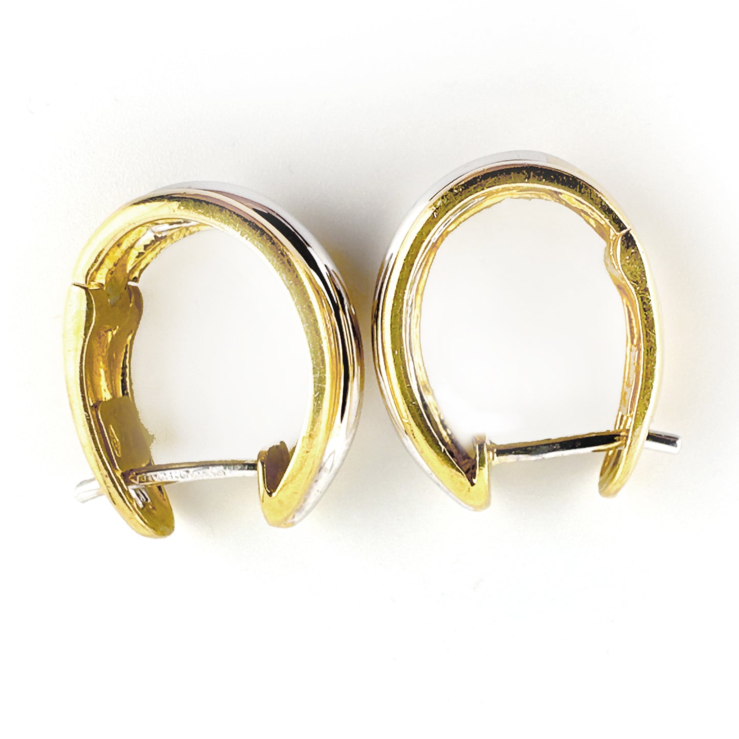 Horseshoe Earrings